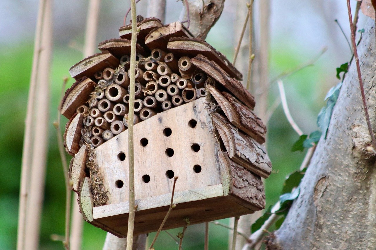 insect-hotel-7753737_1280