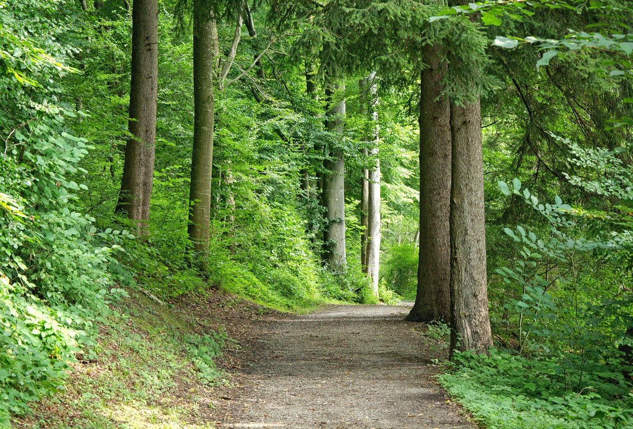 path-1548326_1280